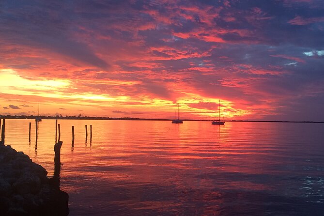 1.5 Hour Bay Side Key Largo Sunset Cruise on a Spacious Catamaran - Who will enjoy this Key Largo cruise most