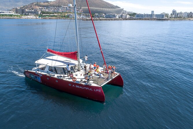 1- Hour Catamaran Cruise Cape Town - Table Mountain from the water