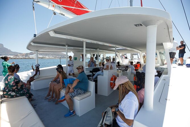 1- Hour Catamaran Cruise Cape Town - Timing, passenger numbers, and value