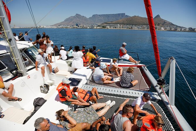 1- Hour Catamaran Cruise Cape Town - Who should book this catamaran cruise?