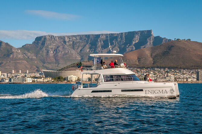 1 Hour Coastal Catamaran Cruise from Cape Town - From Quay 5 to the Atlantic