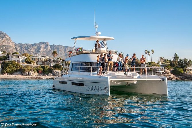 1 Hour Coastal Catamaran Cruise from Cape Town - What the $21.28 price really buys you