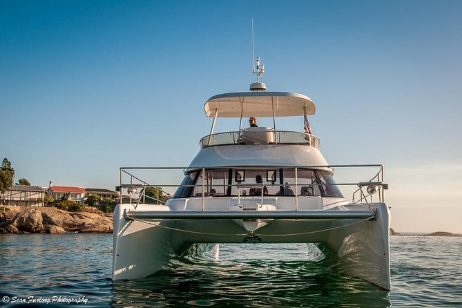 1 Hour Coastal Catamaran Cruise from Cape Town - Best times and best types of visitors