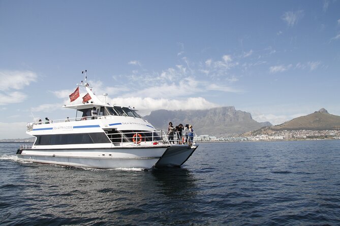 1 Hour Coastal Catamaran Cruise from Cape Town - Green Point lighthouse and the return route