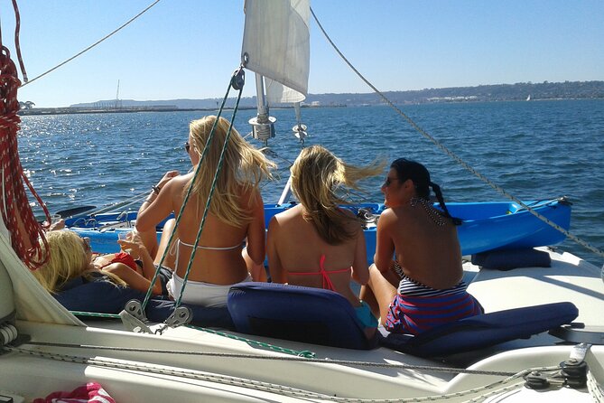 2.5-Hour Small-Group Catamaran Sunset Sail with Drinks - Sea lions, seabirds, and the chance of dolphins