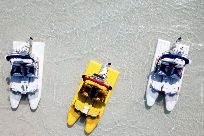 2 Hour Key West Mini Catamaran Eco Tour - Key points to know before you book