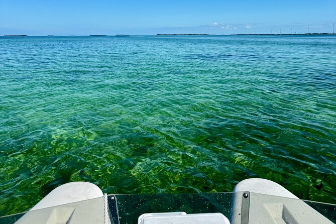 2 Hour Key West Mini Catamaran Eco Tour - What handling the mini catamaran is really like