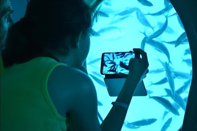 2 Hours Catamaran and Semi Submarine with Snorkeling in Hurghada - How it compares with a standard snorkeling trip
