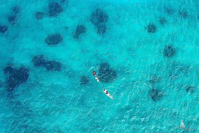 2hr Luxury Private Sailing Catamaran for 7-12 People - Turtles, dolphins, fish, and winter whales