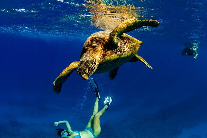 2hr Luxury Private Sailing Catamaran in Waikiki for 1-6 People - A private boat that lets you set the mood