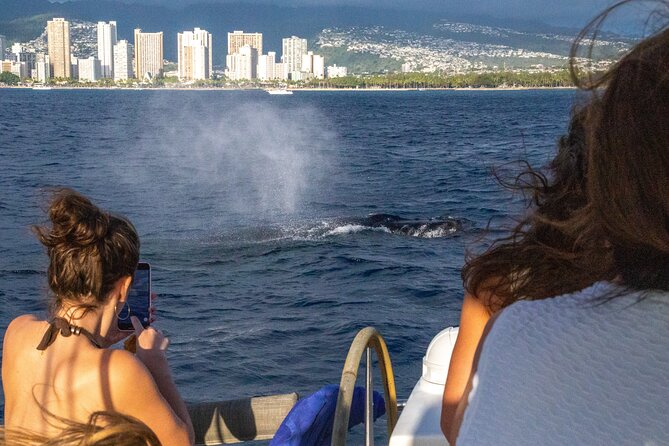 2hr Luxury Private Sailing Catamaran in Waikiki for 1-6 People - Waikiki, swimming, and a possible snorkel stop
