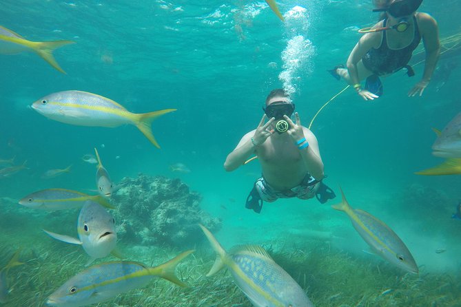 3 ADVENTURES: Sailing Catamaran Cruise - Hooka Diving - Snorkeling - What this Punta Cana cruise is really like