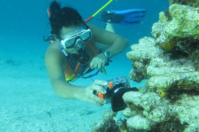 3 ADVENTURES: Sailing Catamaran Cruise - Hooka Diving - Snorkeling - Snorkeling near the Bávaro coral barrier