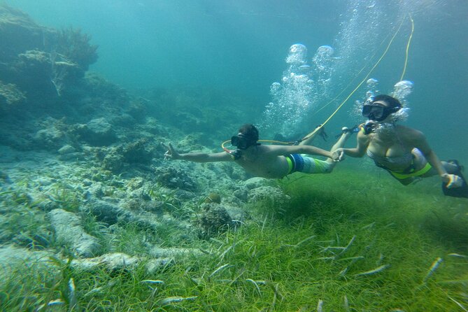 3 ADVENTURES: Sailing Catamaran Cruise - Hooka Diving - Snorkeling - What is included for $105