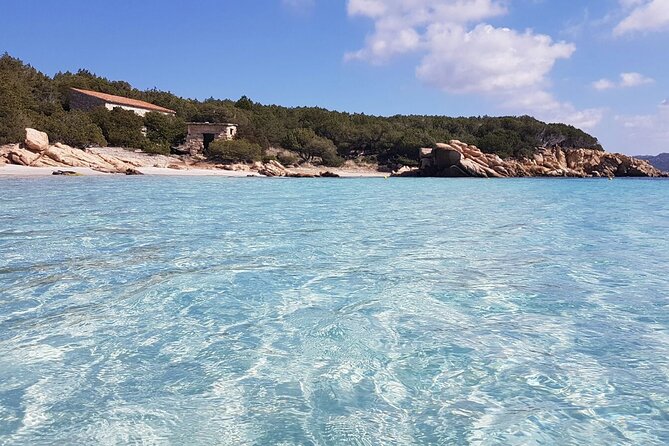 3-Catamaran from Cannigione to the islands of the Archipelago - Who should book this catamaran