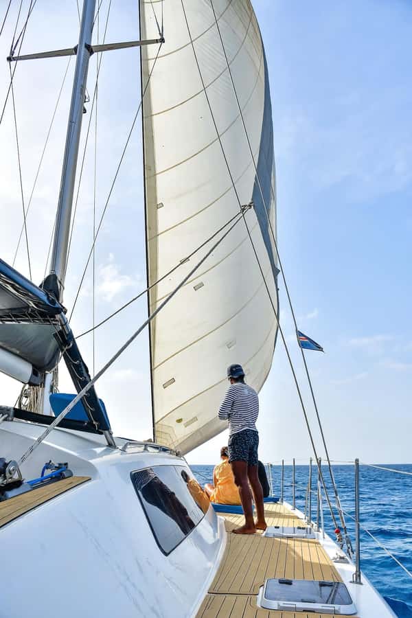 3-hour Catamaran Adventure on the waters of Sal Island - Wildlife depends on luck, not the schedule