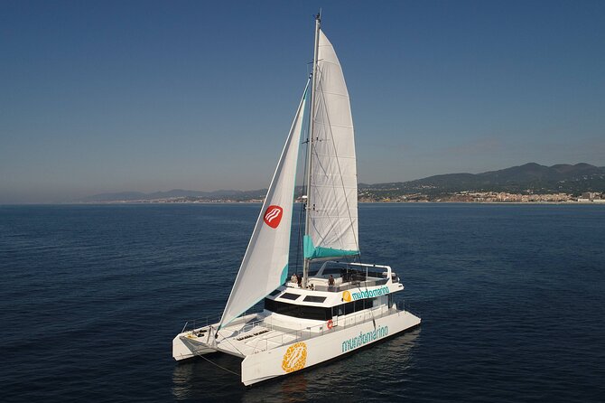 3-Hours Catamaran Tour in Malaga with Paella - Is $54.06 good value?