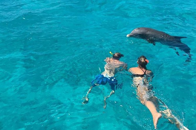 4-Hour Catamaran Sail and Snorkel Tour from Grace Bay - Little Water Cay and the rock iguanas