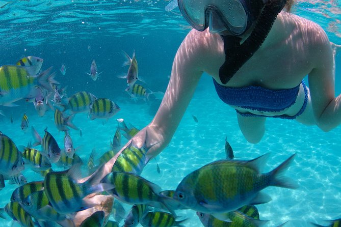 4-Hour Catamaran Sail and Snorkel Tour from Grace Bay - Lunch, rum punch, and the ride home