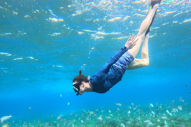 4 Hour Cozumel Turtle Sanctuary Experience on a Luxury Catamarán - Cielito, Ceviche, and Stingrays