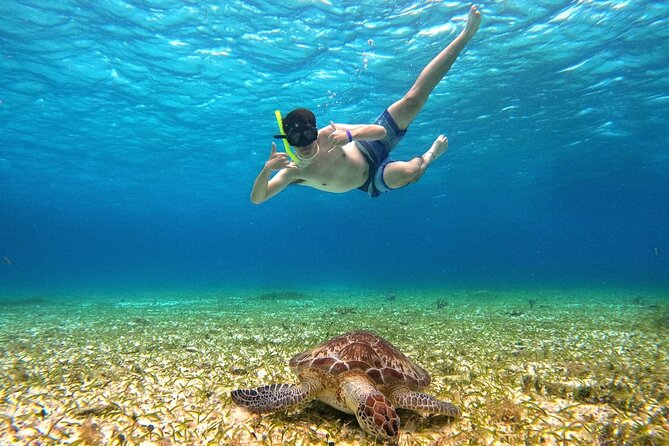 4 Hour Cozumel Turtle Sanctuary Experience on a Luxury Catamarán - Food, Drinks, and the Boat Bathroom