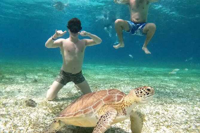 4 Hour Cozumel Turtle Sanctuary Experience on a Luxury Catamarán - How Much Value You Get for $77.50