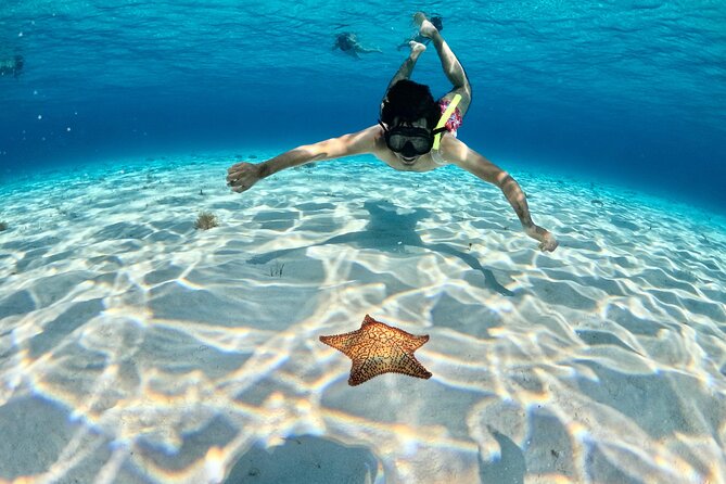4 Hour Cozumel Turtle Sanctuary Experience on a Luxury Catamarán - Weather, Timing, and Possible Changes