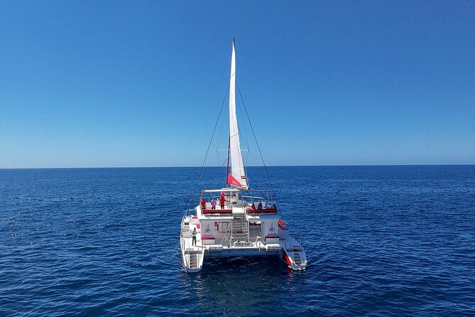 4-Hour Trip on Luxurious Catamaran from Puerto Rico - Paella, mojo potatoes, and drinks included