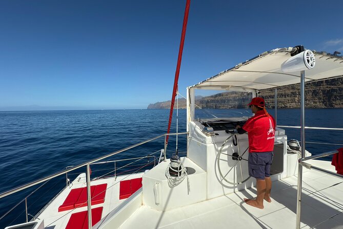 4-Hour Trip on Luxurious Catamaran from Puerto Rico - Should you book the Puerto Rico catamaran trip?