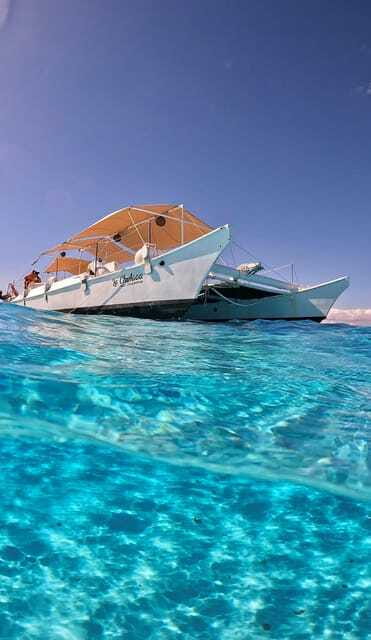4 Hour Turtle Sanctuary Experience on a Luxury Catamarán - Who should book this catamaran outing