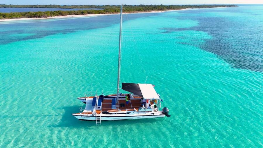 4 Hour Turtle Sanctuary Experience on a Luxury Catamarán - Three Cozumel water stops in four hours