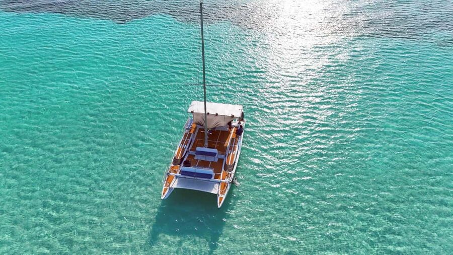 4 Hour Turtle Sanctuary Experience on a Luxury Catamarán - El Cielo and its red and orange starfish