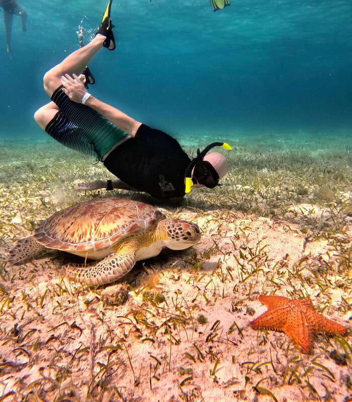 4 Hour Turtle Sanctuary Experience on a Luxury Catamarán - Cielito, the final sandbar stop