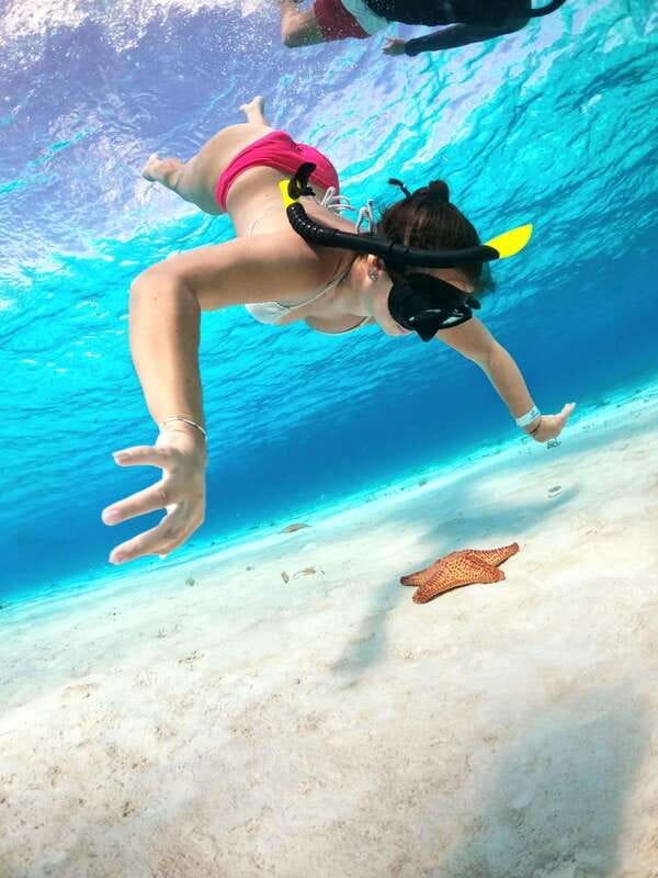 4 Hour Turtle Sanctuary Experience on a Luxury Catamarán - Timing for cruise passengers