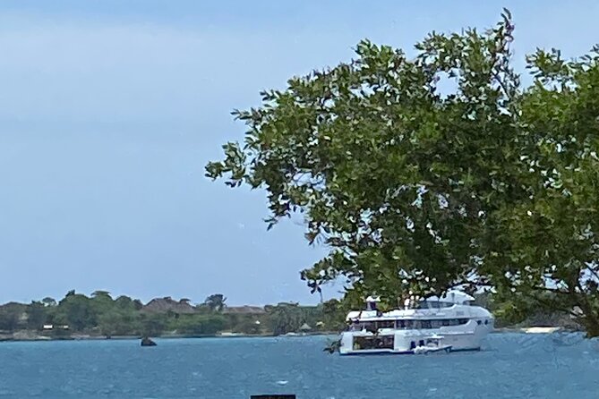 4 Hours Party Boat Catamaran Cruise in Negril - Cruising Along Negril’s Seven Mile Beach
