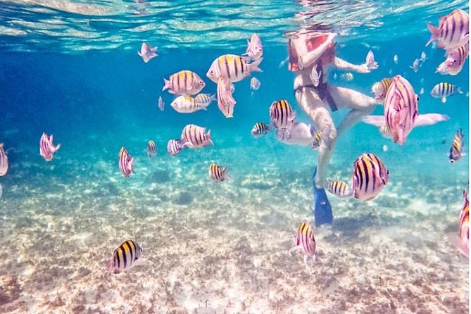 4H Luxury 44' Catamaran All-Inclusive in Tulum & Playa del Carmen - The cruise north to In-Ha reef