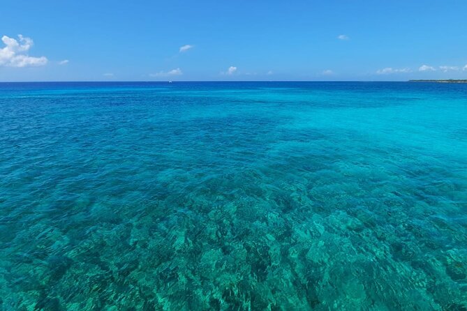 4H Luxury 44' Catamaran All-Inclusive in Tulum & Playa del Carmen - Two hours to snorkel, swim, or stay aboard
