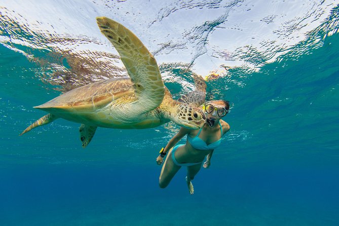 50' Luxury Yacht. Private Full or Half Day Catamaran Snorkel, & Beach Experience - What the crew adds to the experience