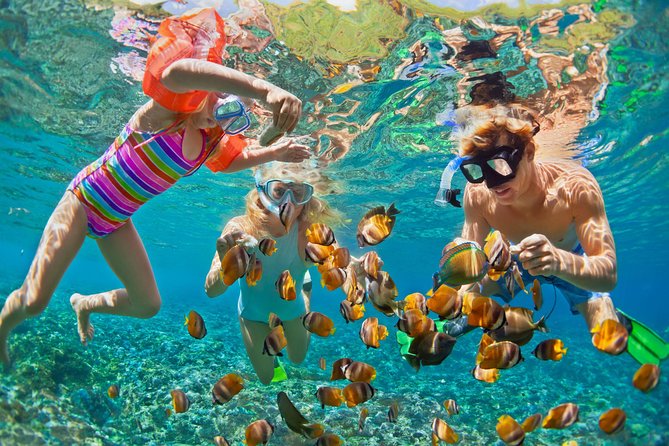 50' Luxury Yacht. Private Full or Half Day Catamaran Snorkel, & Beach Experience - Choosing the best stops around St. Thomas
