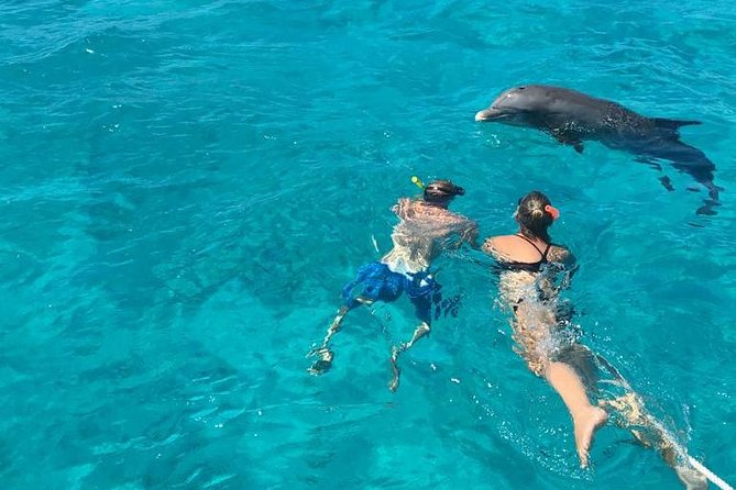 7 Hour Private Catamaran Sail, Snorkel and Beach BBQ Grace Bay, Providenciales - Snorkeling along the barrier reef