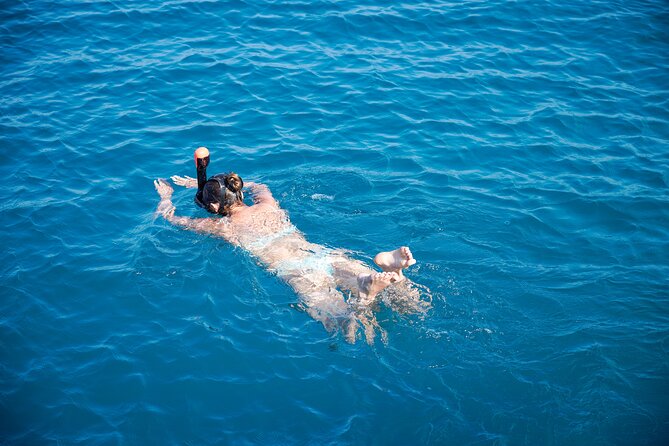 A Day at Sea by Catamaran from Calpe or Altea with Paella - Key points to know before booking