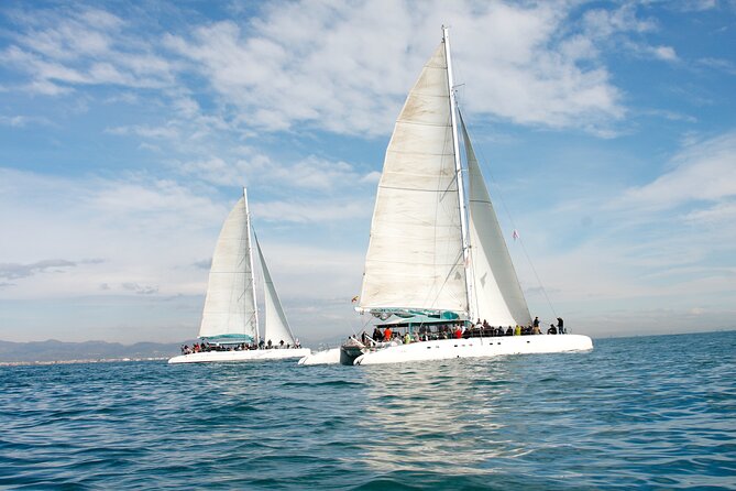 A day at sea from Dénia or Jávea with Barbecue aboard the Catamaran - Cala de Portixol is the main event