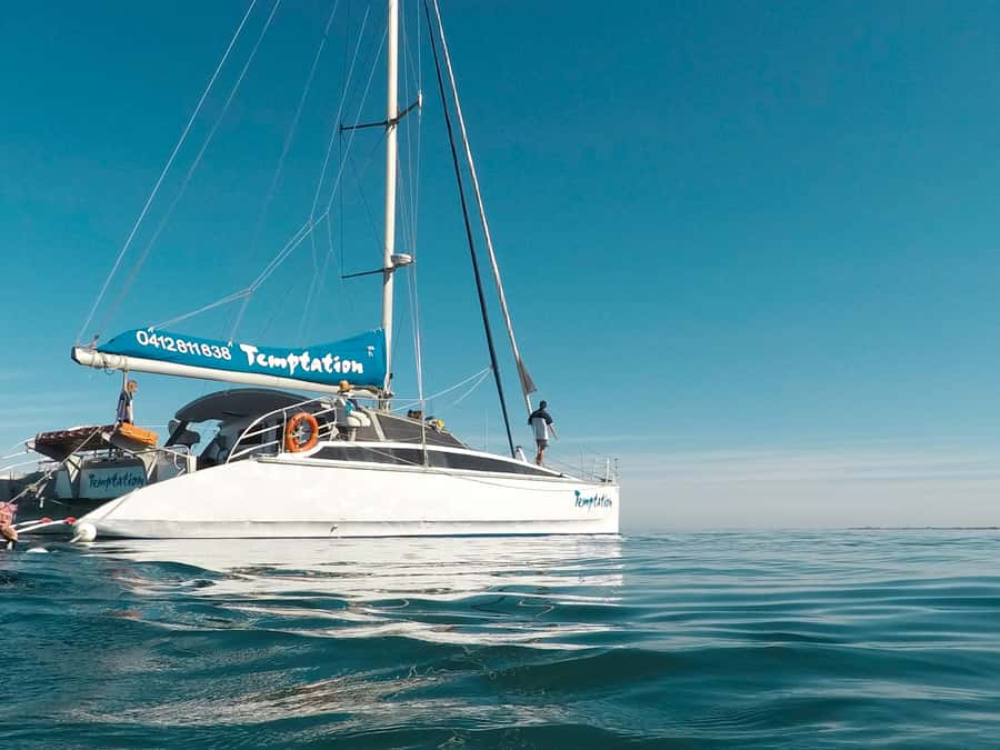 Adelaide: Glenelg Twilight Catamaran Cruise with Drink - Key points to know before booking