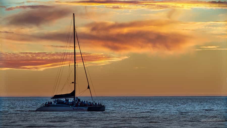 Adelaide: Glenelg Twilight Catamaran Cruise with Drink - Practical details that affect your choice