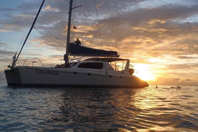 Afternoon Luxury Catamaran Sailing and Charter Cruise from Bridgetown - Key points at a glance