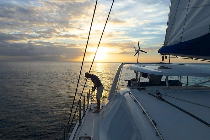 Afternoon Luxury Catamaran Sailing and Charter Cruise from Bridgetown - Why this sunset sail works so well
