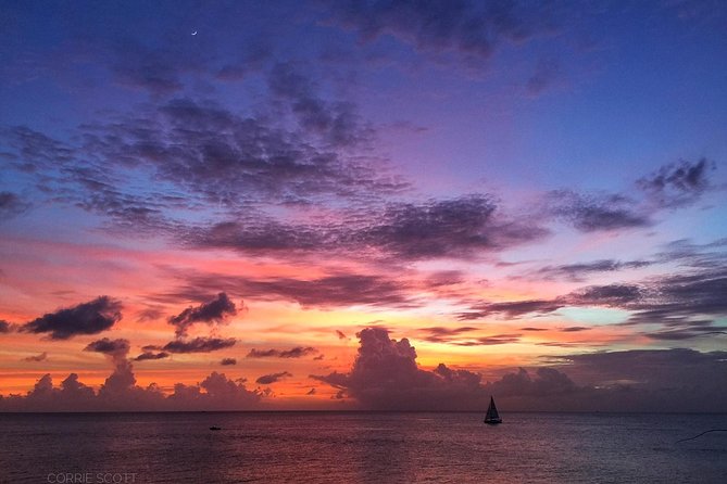 Afternoon Luxury Catamaran Sailing and Charter Cruise from Bridgetown - A premium bar, canapes, and a surprisingly filling meal