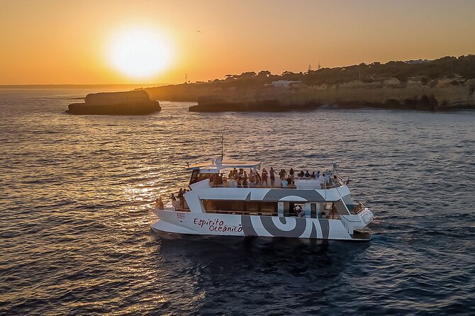 Albufeira: 6-Hour Sunset Dinner Catamaran Cruise with Open Bar - How the cruise handles families and accessibility