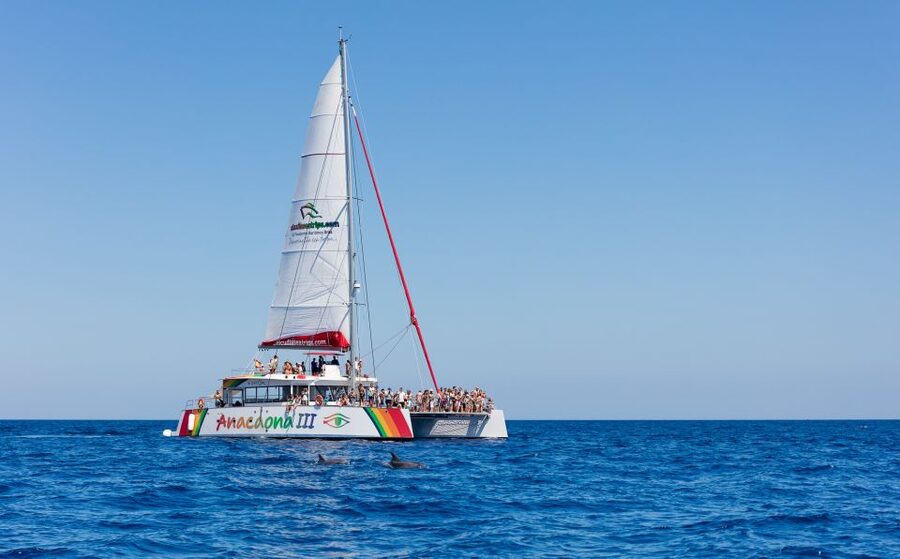 Alcudia: Sunset Catamaran Tour with Dinner and Snorkeling - Key points to know before booking