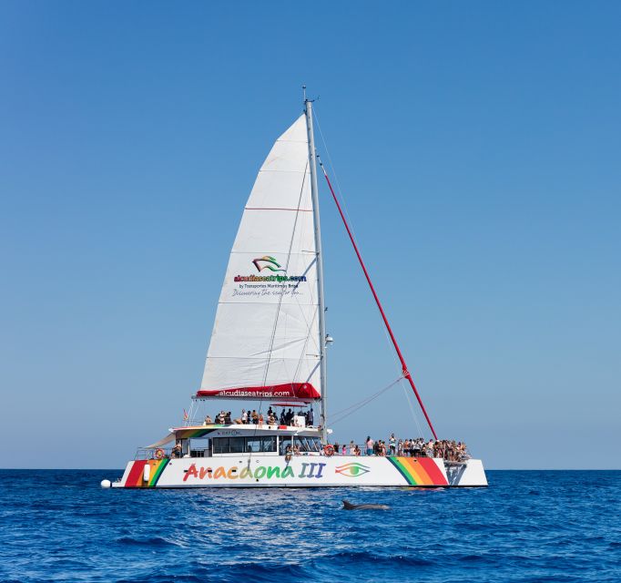 Alcudia: Sunset Catamaran Tour with Dinner and Snorkeling - My call: book it if you want an active sunset evening